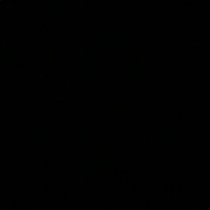 Meet your Posher, Reena